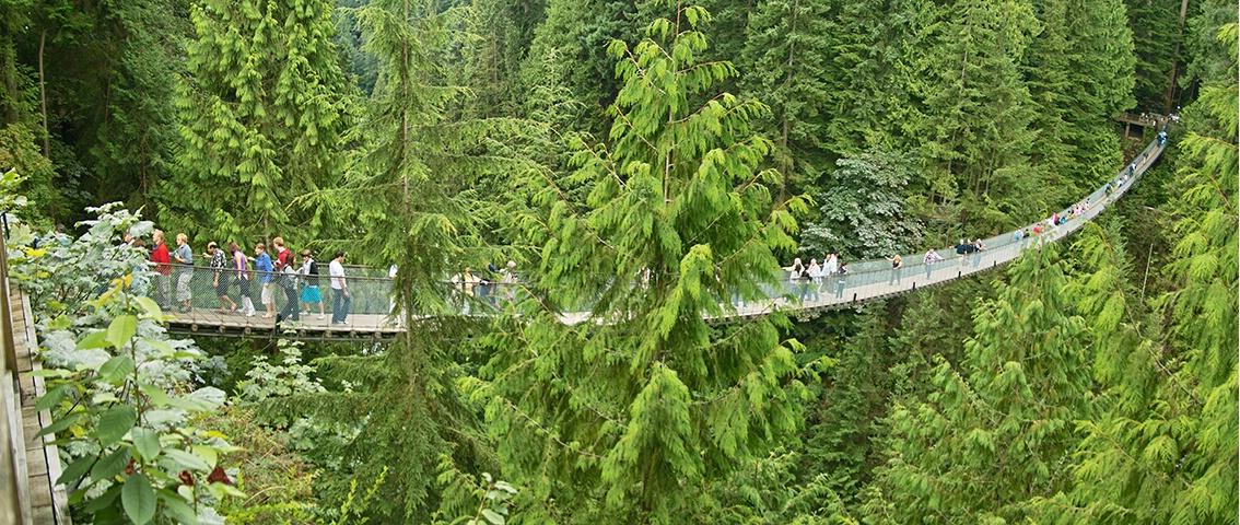 <b>Capilano Bridge Panorama</b>