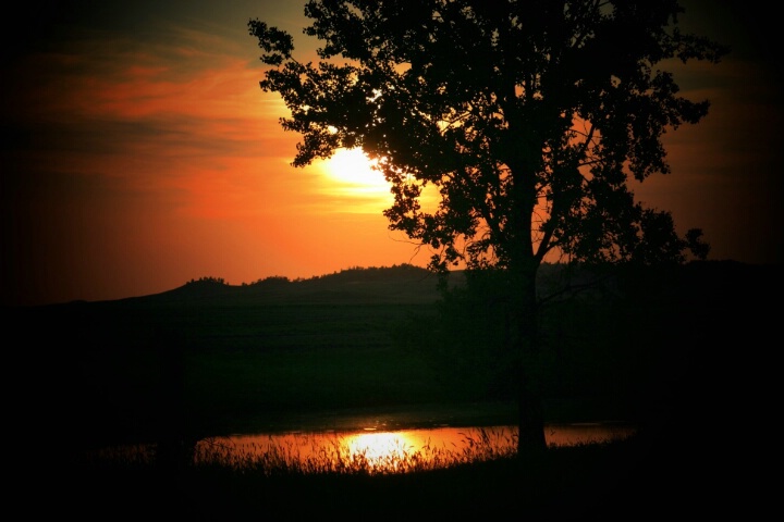 Sunset over Pond