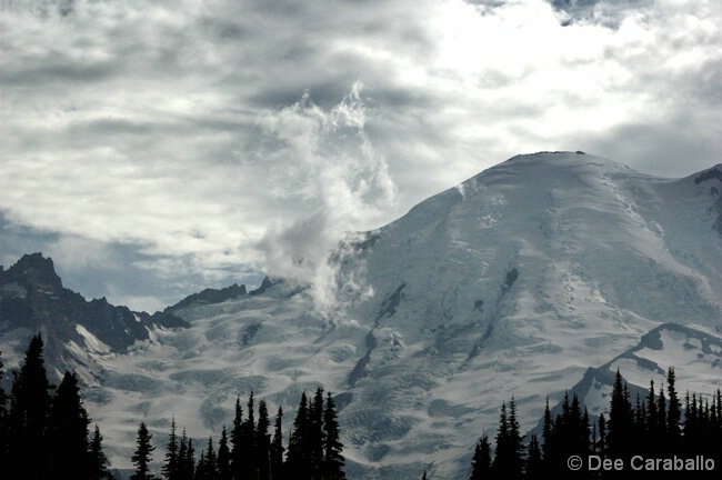 rainier7