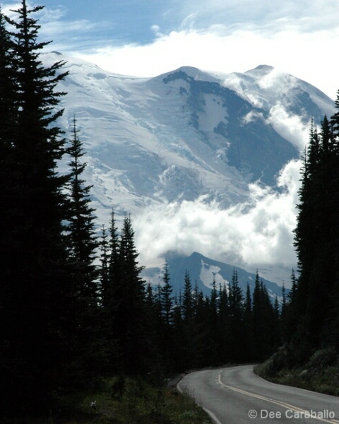 Road to Rainier II