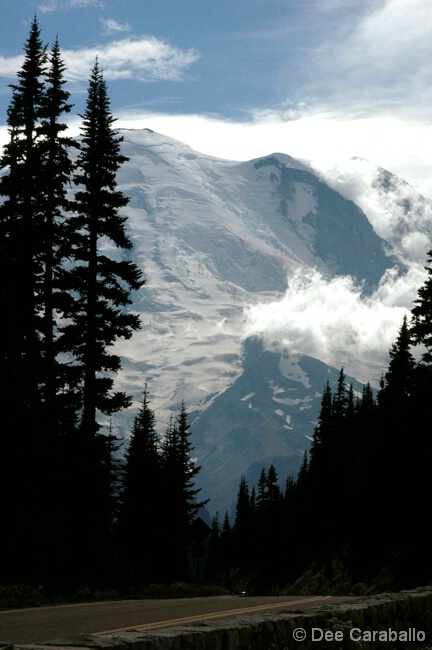 Road to Rainier