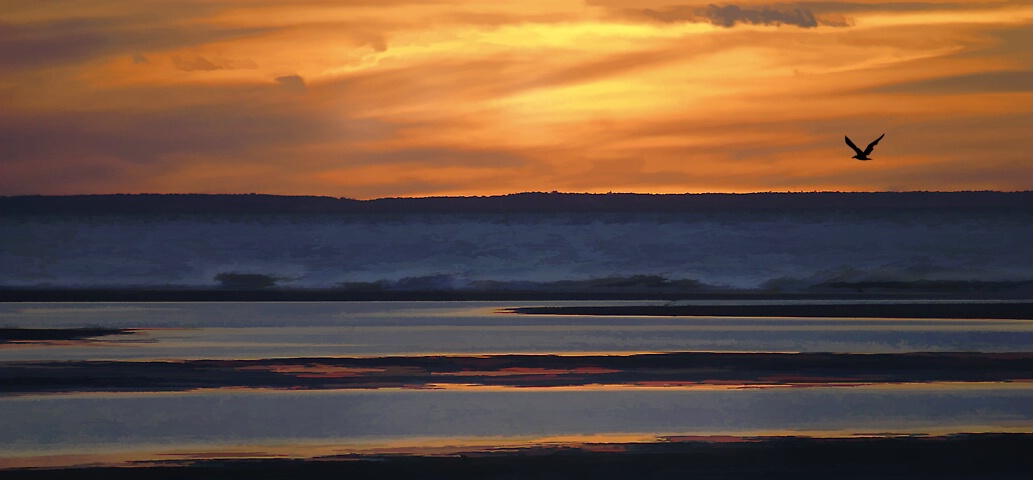 Cape Cod Sunset