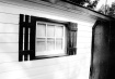 The Shed
