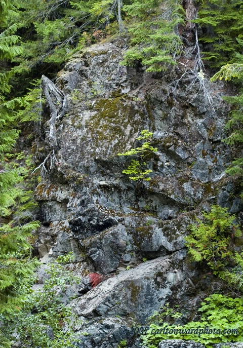 Rock Face