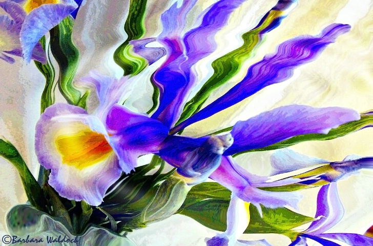 Irises