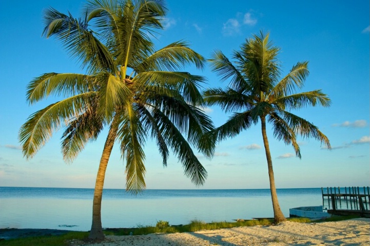 Twin Palms,  Florida Keys