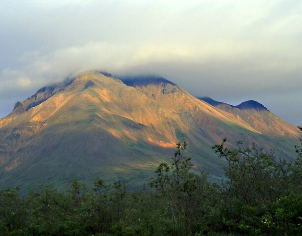 View from Toklat