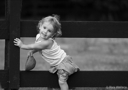 fence and toy