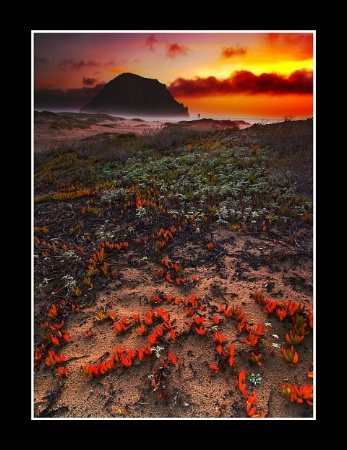 morro rock