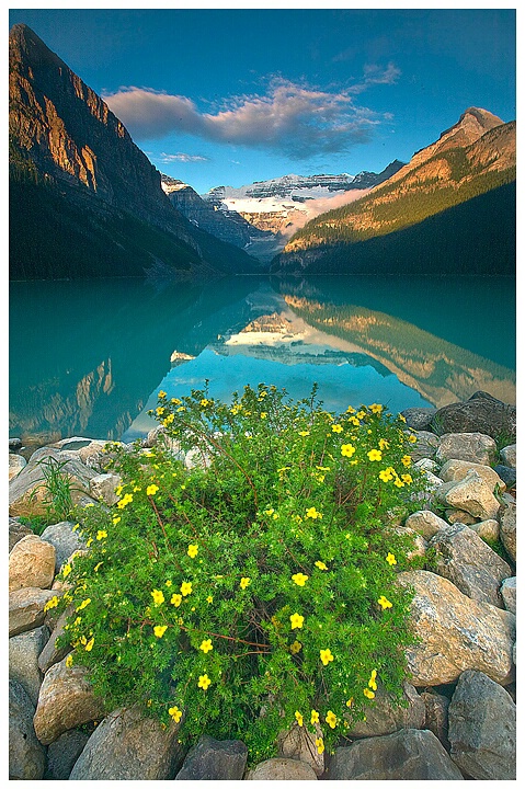 Beautiful Lake Louise Morning-Banff N.P.