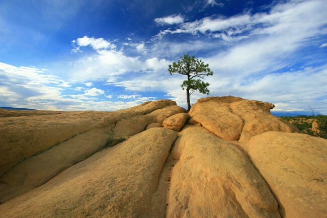 Malpais Badlands