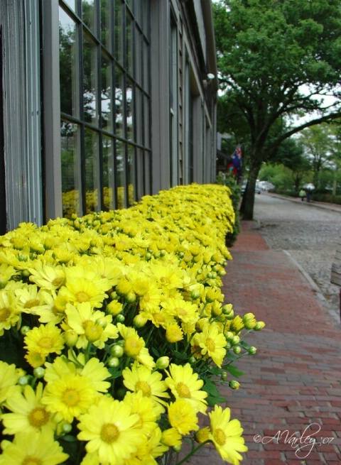 yellow, brick, road