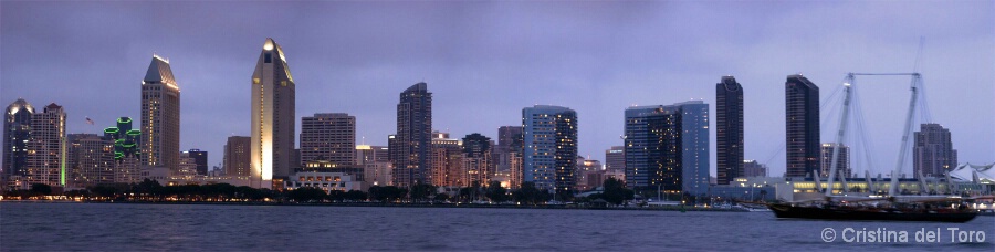 San Diego Panorama With Boat