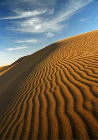 Namib Desert, Namibia