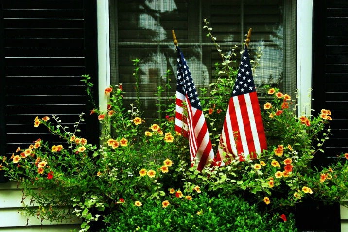 Patriotic Blooms - ID: 4542469 © Stanley Singer