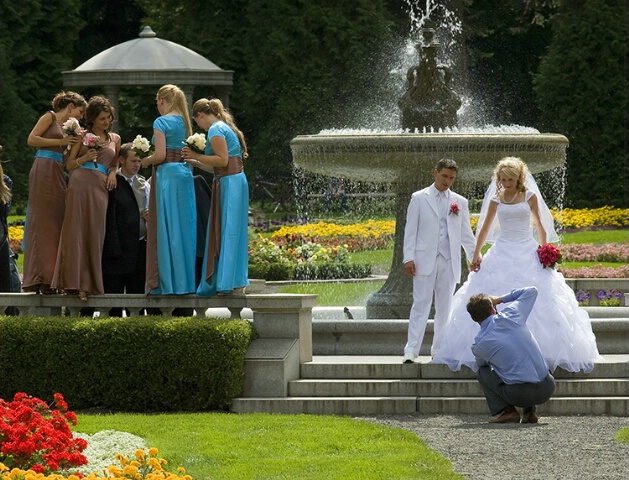 The Wedding Shoot