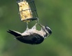 Just Hanging Arou...