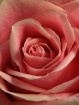 Unfolding