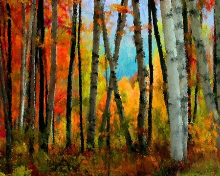 4159_PAINTED BIRCHES