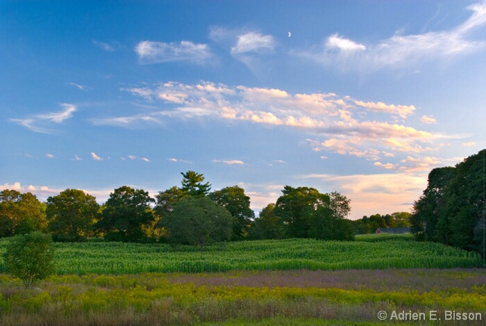 [Part 1] Green New England-4