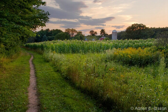 [Part 1] Green New England-3