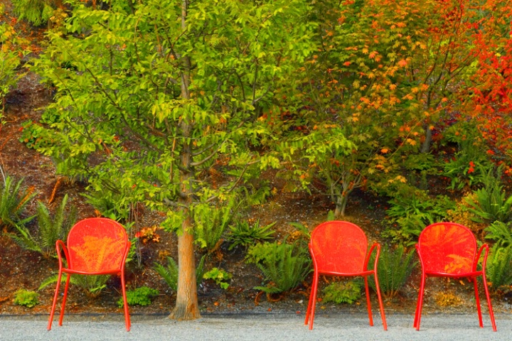 Three Red Chairs, More Red