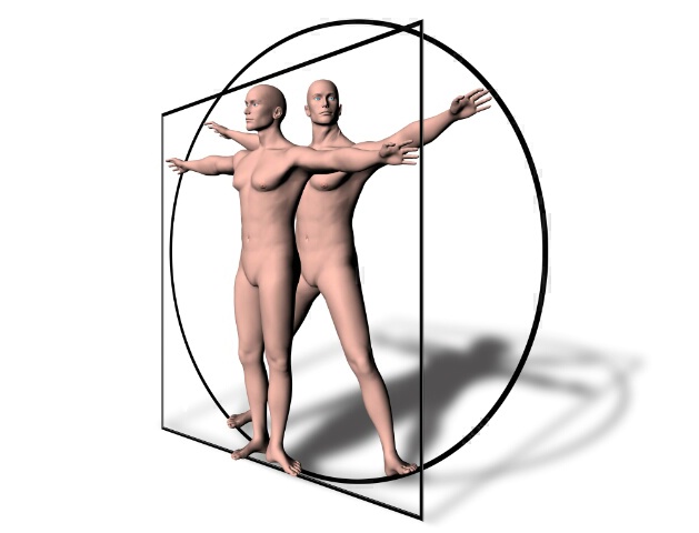 Vitruvian Man 3D