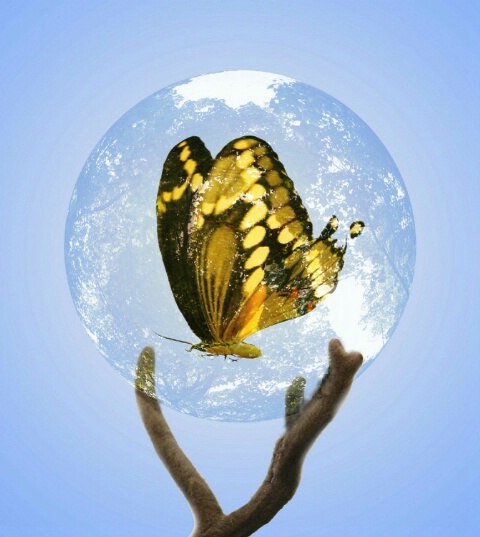 Butterfly in a globe