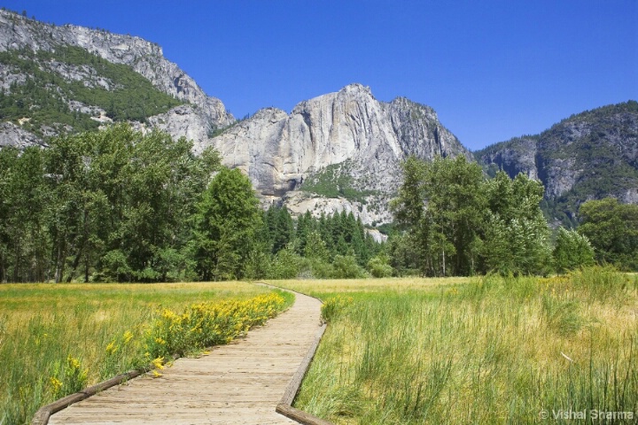 A wooden trail...