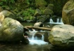 At the Falls