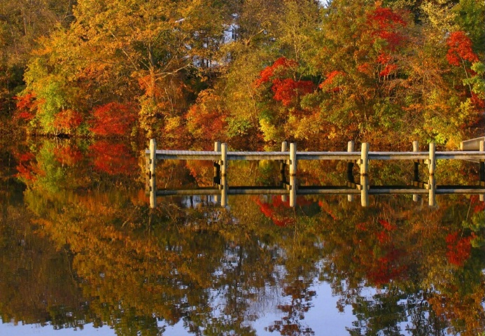 Fall at Lake In Lakewood N.J
