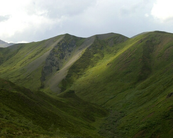 Denali Ridge