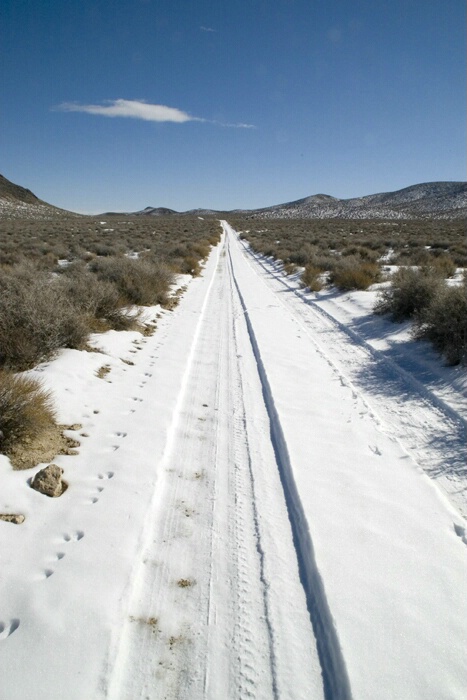 Snowy Track