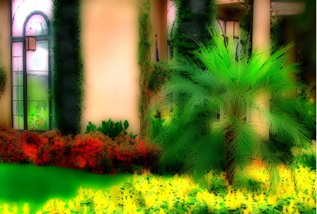 Palm Tree Dreams