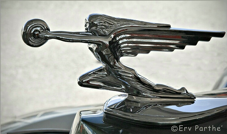 Emblem Packard