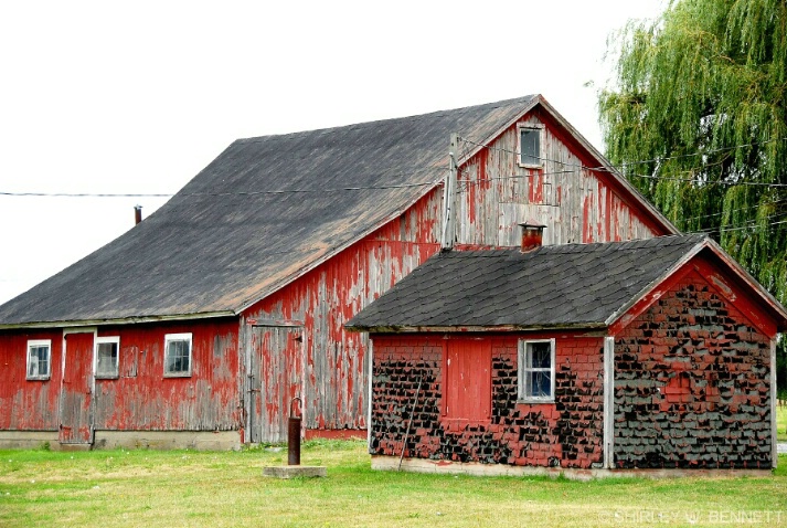 barn_and_shed_1 - ID: 4602431 © SHIRLEY MARGUERITE W. BENNETT