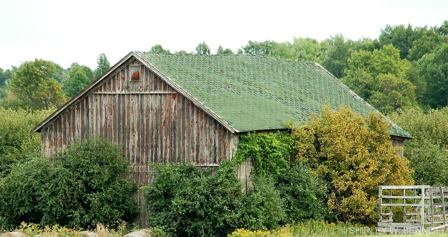 barn_with_green_roof - ID: 4602455 © SHIRLEY MARGUERITE W. BENNETT