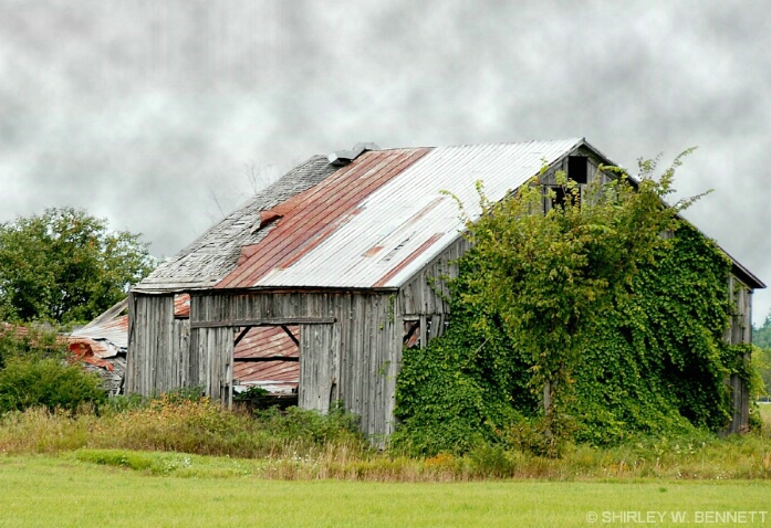 old_barn_with_front_opening_4 - ID: 4602476 © SHIRLEY MARGUERITE W. BENNETT