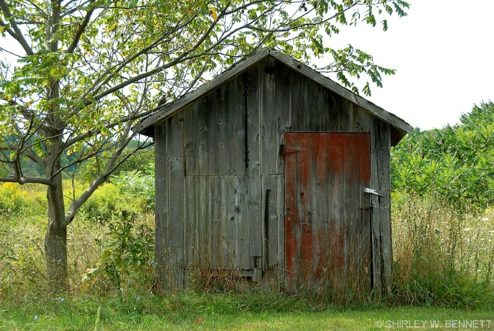 OUTHOUSE, LOCKPORT, NY - ID: 4602525 © SHIRLEY MARGUERITE W. BENNETT