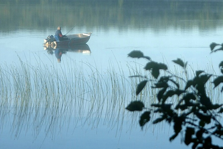 A Musky Morning