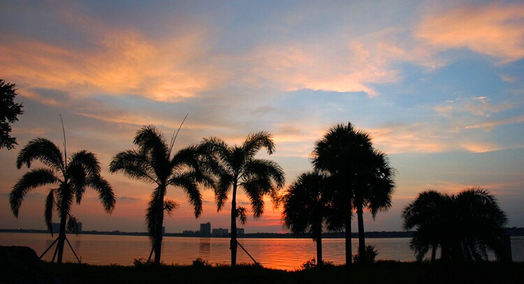 Tampa Sunset