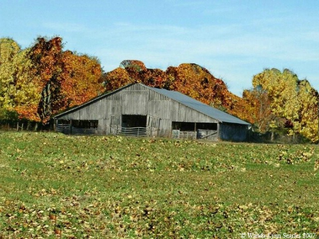 img20