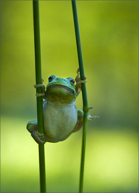 Hanging  Around