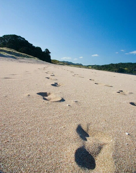 NZ beach