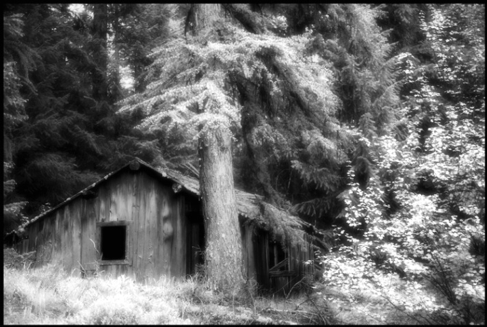 cabin_ghosts_2 - ID: 4619754 © Stuart May