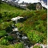 © Patricia A. Casey PhotoID # 4636732: Summerland Trail Mt. Rainier NP