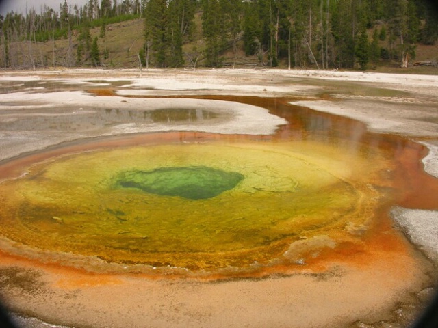Chromatic Spring, Yellowstone - ID: 4641410 © Jannalee Muise