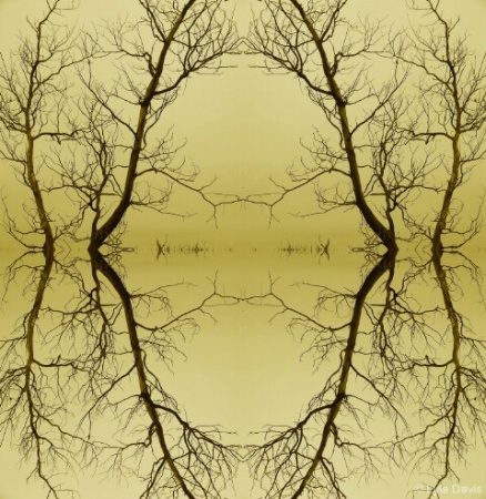 Reflections