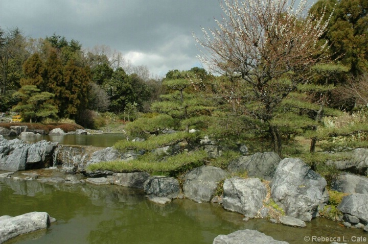 Tsurumi Ryokuchi Park