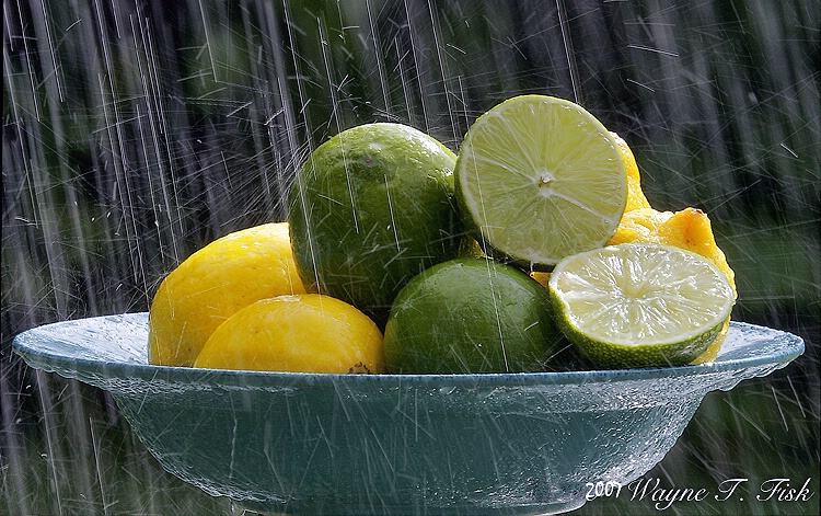 Lemons and Limes and Rain, Oh my!